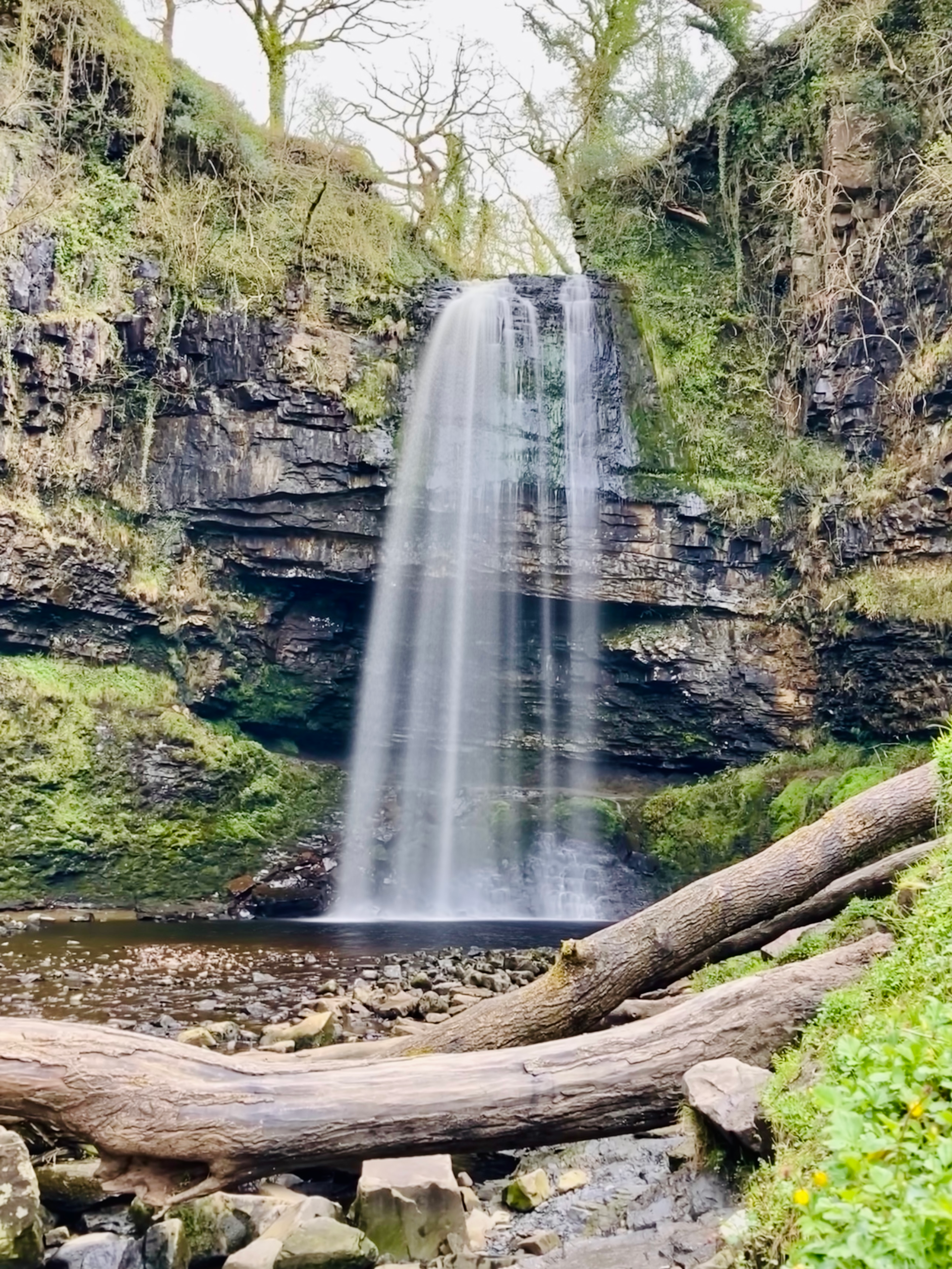 Sheets of water cascading down a rocky cliff, surrounded by greenery. A lovely waterfall - Henrhyd Falls, Wales