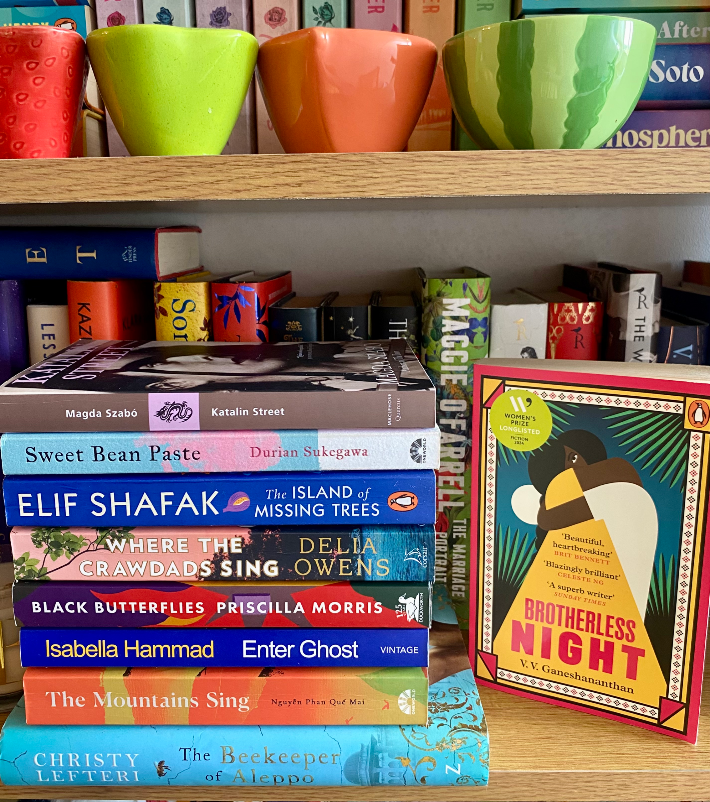 A colourful stack of novels on a bookshelf
